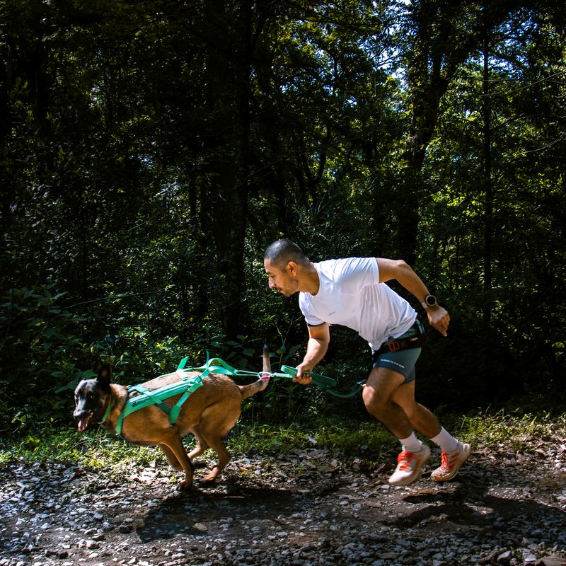 Binomio de Canicross corriendo por un sendero de bosque